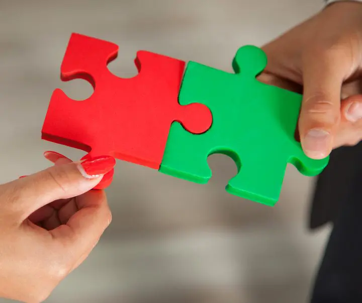 shutterstock 214932064 e1722458417715